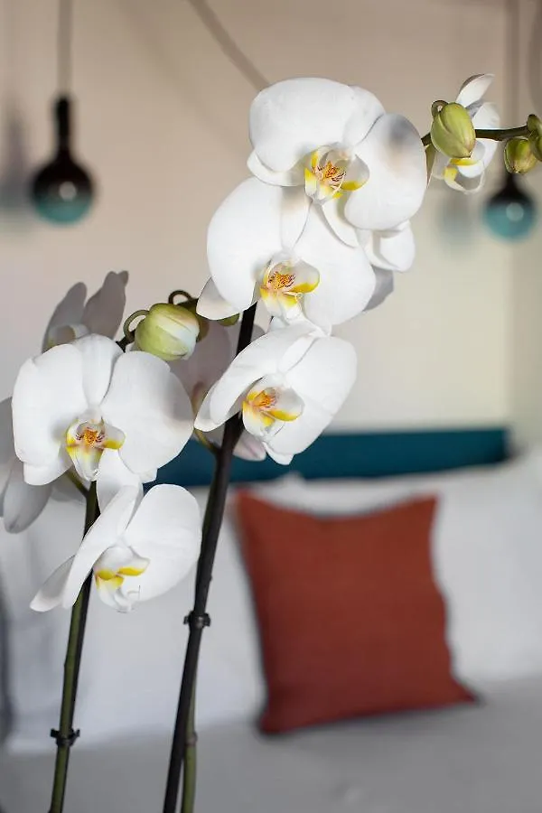 Casa Do Torel - Suites Designs Au Coeur De Lisbonne 葡萄牙